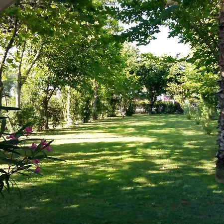 Parque de vacaciones Lido Villaggio Il Ragno